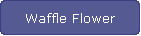 Waffle Flower