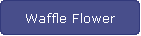 Waffle Flower